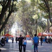 El paseo Bravo: su pasado como cementerio zoológico ¿Mentira o realidad?
